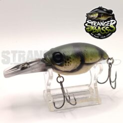 Stranger Big Crank Slow Sinking
