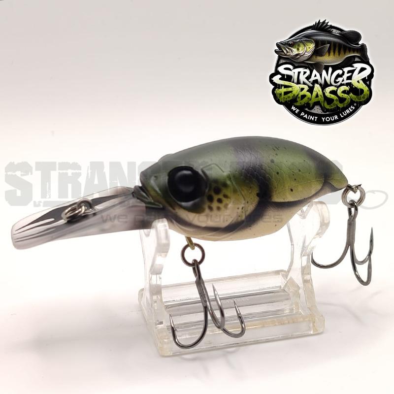 Stranger Big Crank Slow Sinking